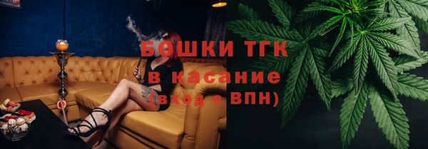 МДПВ Алексин