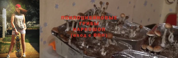 МДПВ Алексин