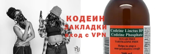 твердый Дмитровск