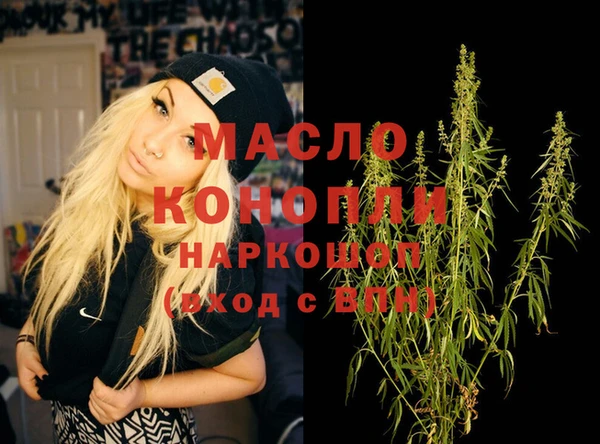 индика Дмитриев