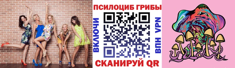 Галлюциногенные грибы GOLDEN TEACHER даркнет состав Владивосток ссылка на мегу зеркало