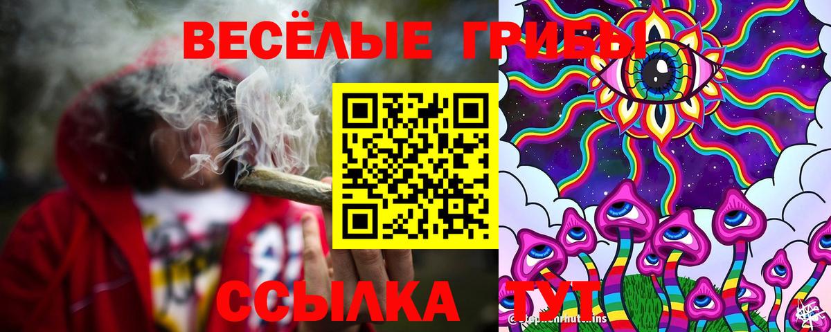 Псилоцибиновые грибы Magic Shrooms  Вход с VPN  Владивосток 