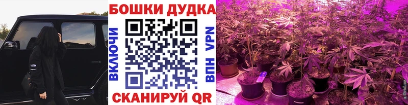 Каннабис ГИДРОПОН  кракен tor  Владивосток 